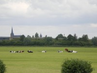 /album/kampen/kampen-jpg/